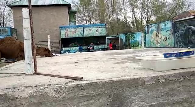 Кербен шаарына көчмө зоопарк келди 