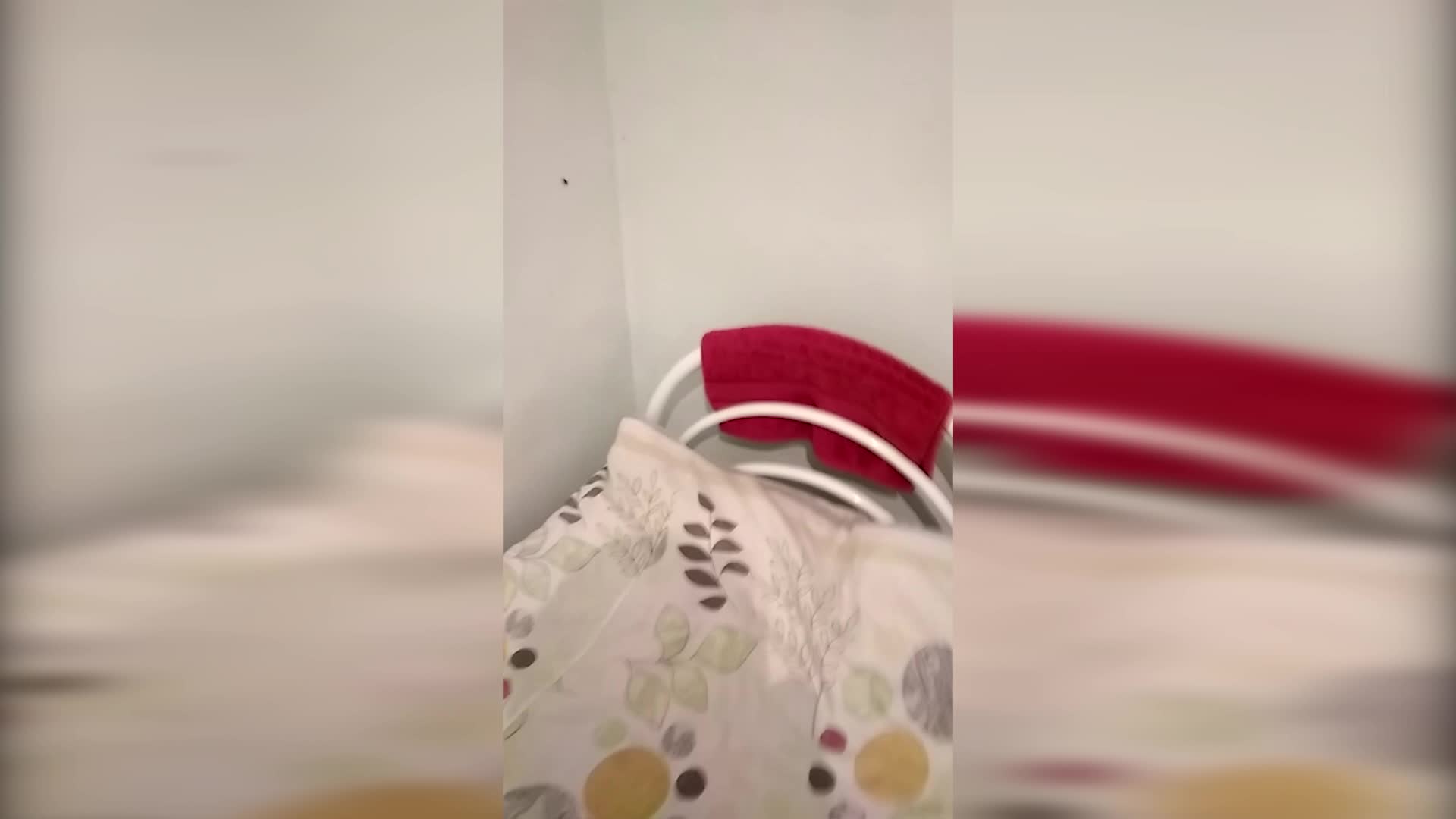 Ошто оорукананы каптаган таракандар