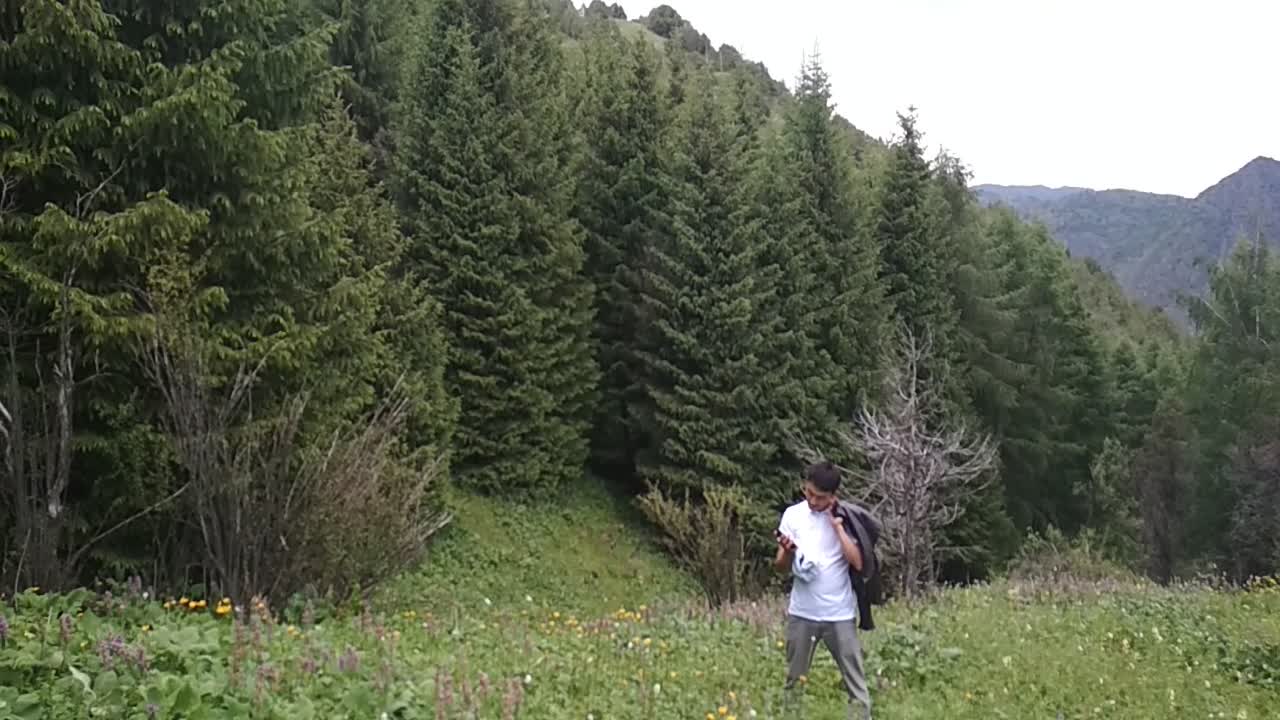 Көргөн көздү суктандырган Кара-Кой жайлоосу