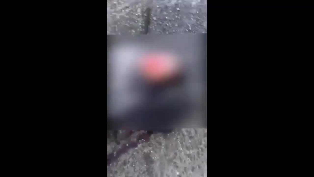 Эки адамдын өмүрүн алган жол кырсыгы