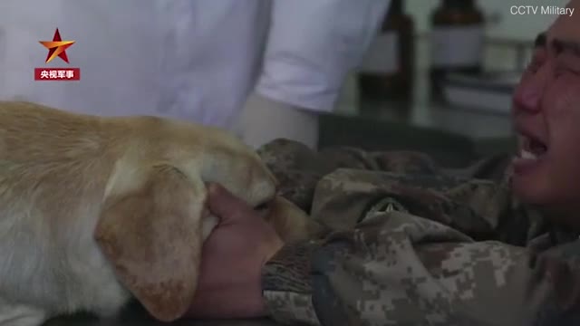 Ити менен коштошкусу келбей ыйлаган аскер