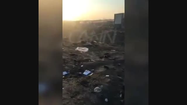 Иранда Украинанын учагы кулады