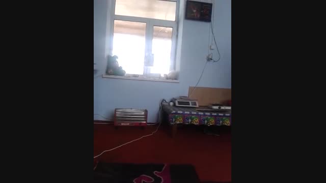 Жаркынбай Кошбаевдин жубайы