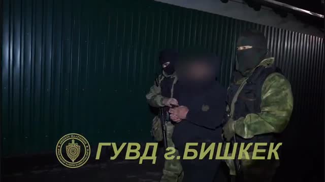 "Чач" каймана аты менен белгилүү жаран кармалды