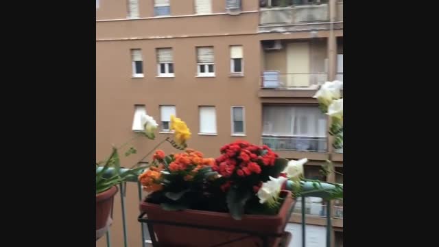 Жалгыздыкка моюн сунба. Италиялыктар окшош күндөргө боёк кошууда