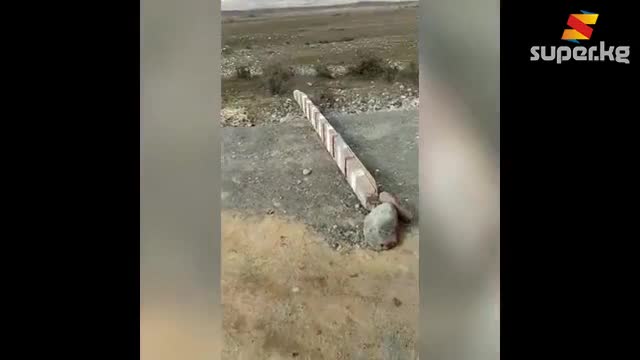 Ат-Башы районундагы Биринчи Май айыл аймагынын жашоочулары өз күчтөрү менен карантиндик пост уюштурушту