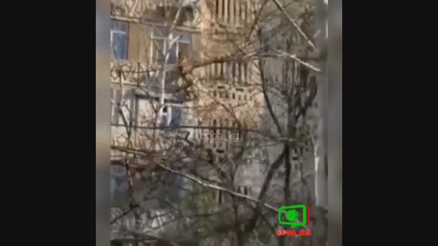 Бишкекте көп кабаттуу үйдөн аял кулап түштү