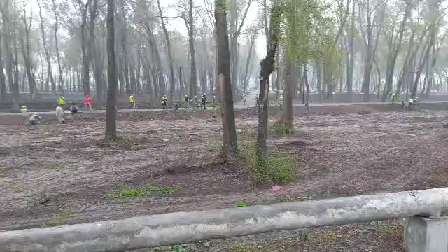 Карантинге карабай иштеп жатышат