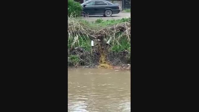 Мал союучу жай өзүнүн жаман агындыларын Чу суусуна агызып жатат