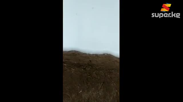 ЭЛДИК ВИДЕО: Ат-Башы районуна май айында кар жаады