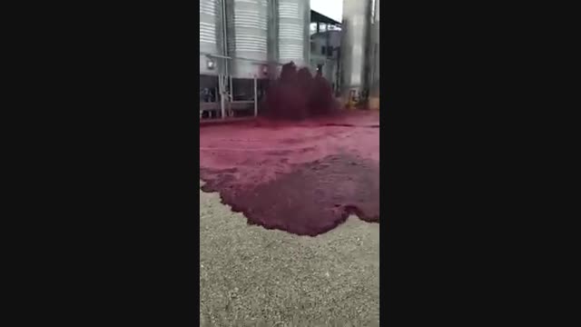 Испанияда шарап заводунда бак жарылып, завод шарапка толуп кетти