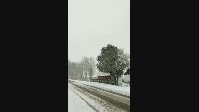 Нарында жааган биринчи кар