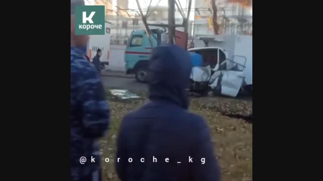 Бишкекте 18 жаштагы айдоочу рулду башкара албай карагайды сүзүп, өзү каза болду