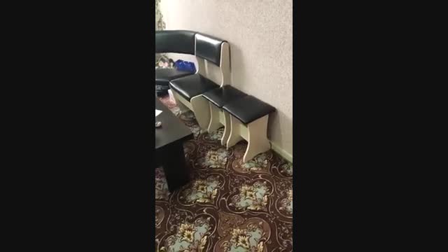 Өмүрбек Текебаев Сыймык Жапыкеевдин айтылуу ашканасына конокко барды