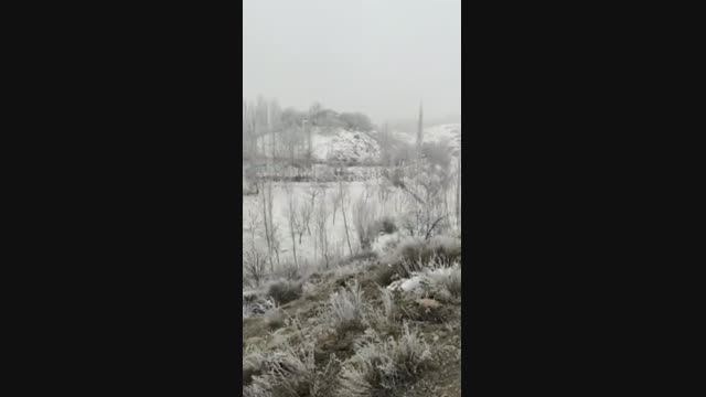 Чек ара