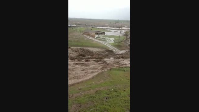 Сузак районунун Кыз-Көл айылында сел жүрүп жатат