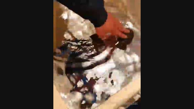 Айдаркендеги смап заводу