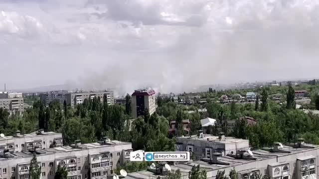 Бишкекте ботаникалык бакчада өрт чыкты
