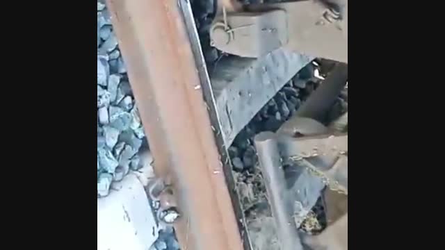 Казакстанда  темир жолду массалык түрдө курттар каптады