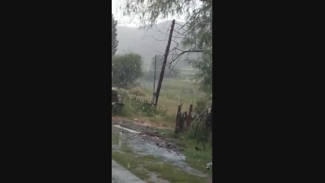 Алайкууга кар жаады