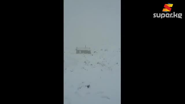 Алайкуудагы кар