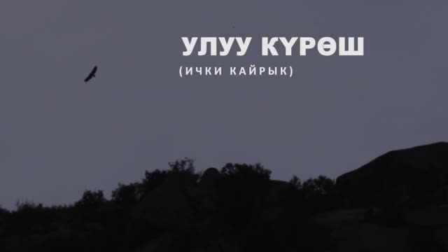 Садыр Жапаровдун үнү коштолгон көрө албастык тууралуу видео шайлоо алдында жасалган