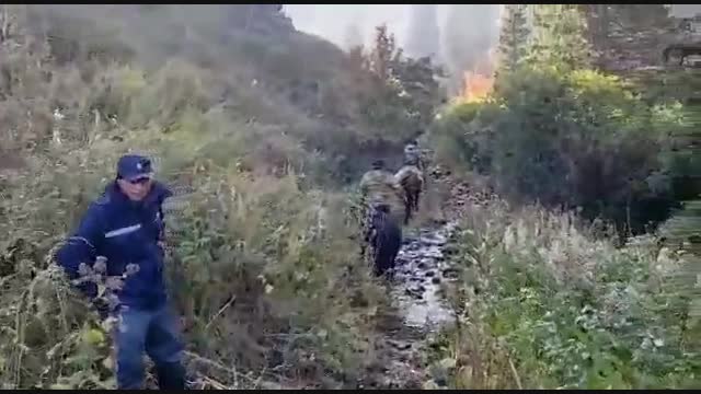 Кеминде токой өрттөнүп жатат