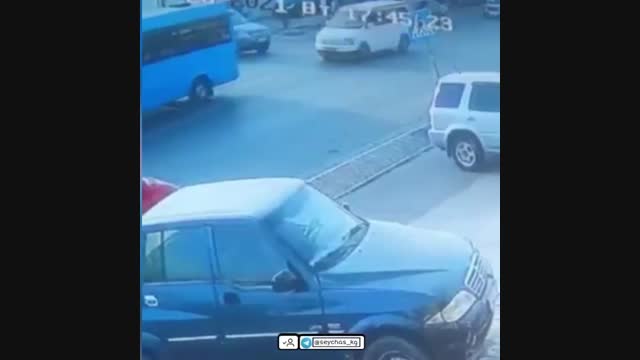 Окуучу кызды сузүп кетти