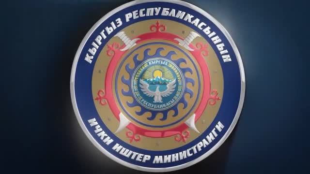 Бишкекте вебкам-студия уюштурган 29 жаштагы жаран кармалды