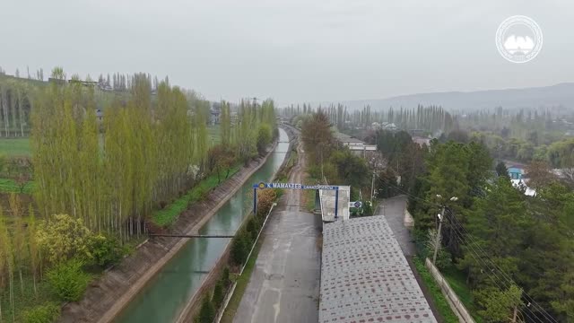 Оштун мэри Төлөйкөндөгү эс алуу жайларынын мыйзамдуулугун карап чыгууну талап кылды