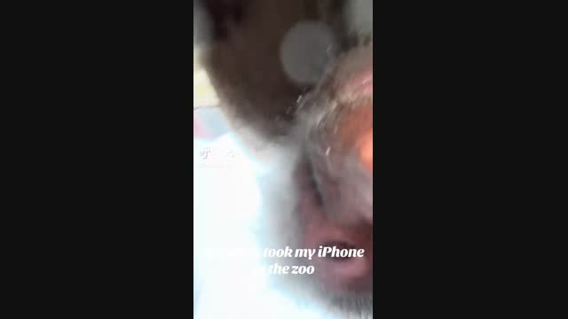зоопарк