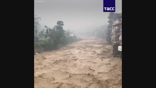 Индияда сел жүрүп, 50дөн ашык адам каза тапты (видео)