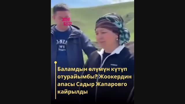 Жалгыз бой эне