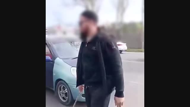 Бишкекте унаа жолдо чыр салган жаран кармалды