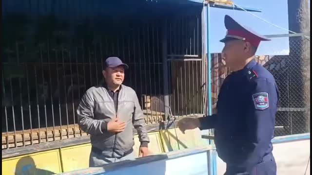 Токмоктогу зоопарктан арстан качкетти деген маалымат чындыкка дал келбейт