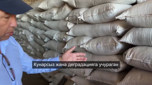 2026-жылы жайыттарды калыбына келтирүүгө 50 миллион сом бөлүндү