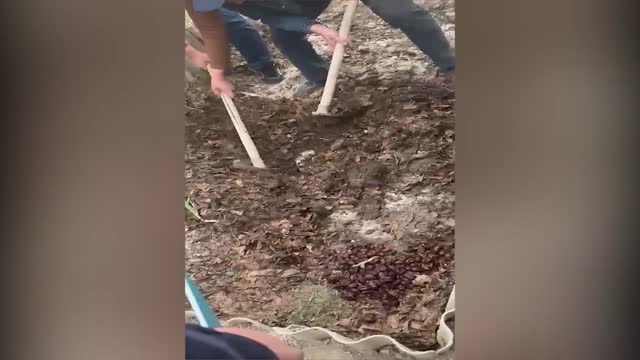 Эл аралык баңгизат каналына бөгөт коюлду