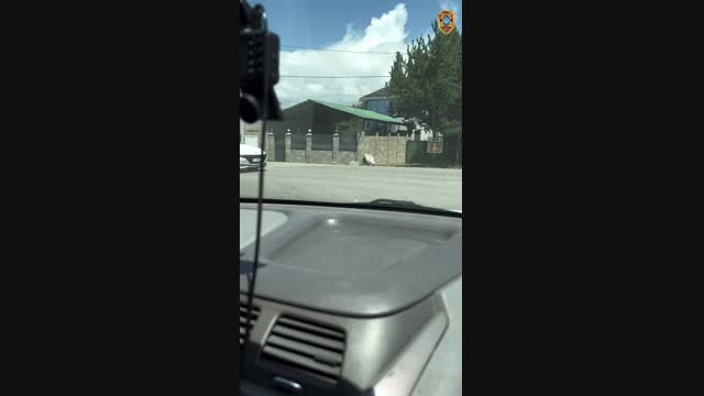 Таласта жасалма номер тагып, айдоочулук күбөлүгү жок унаа башкарган жаран кармалды
