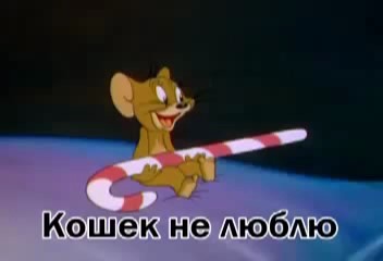 Alizee эмне жөнүндө ырдайт