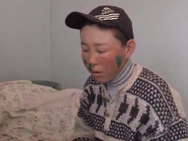 Карышкыр адамга кол салды