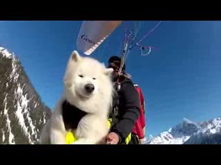 Эн мыкты видео!