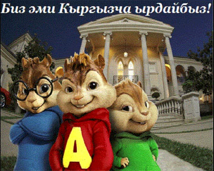 Бурундуктар Кыргызча ырдап беришет 