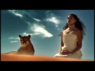 EDWARD MAYA presents Violet Light - LOVE STORY