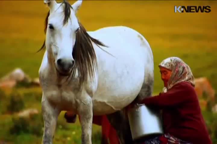 Кыргызстан - Азиянын ж&#1199;р&#1257;г&#1199;