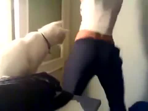 Мышык дагы карманалбай кетти)))