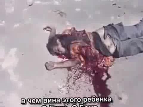 Сирия. Исламчыл террористтердин мыкаачылыгы. 