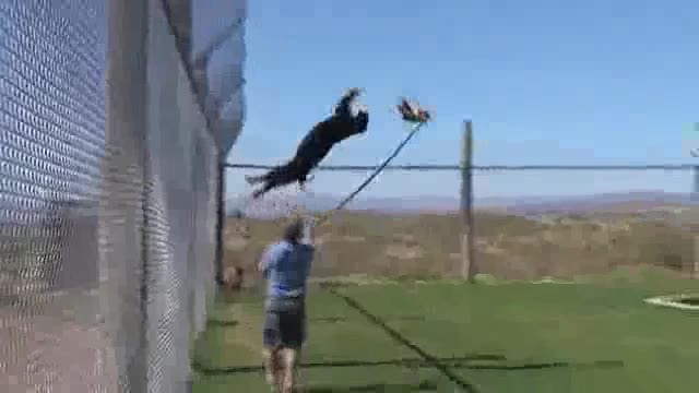 Ушундай мысыгым бар болсо ))