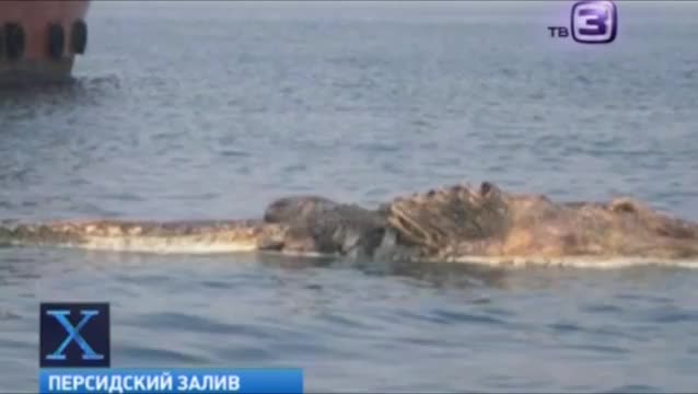 Гигант крокодил суудан табылды