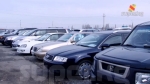 Учурунда ысык самсадай өтүп жаткан унааларды азыр чаң басып турат