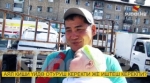 Аял киши үйдө отуруш керекпи же иштеш керекпи?